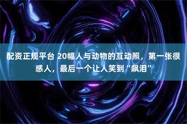 配资正规平台 20幅人与动物的互动照，第一张很感人，最后一个让人笑到“飙泪”