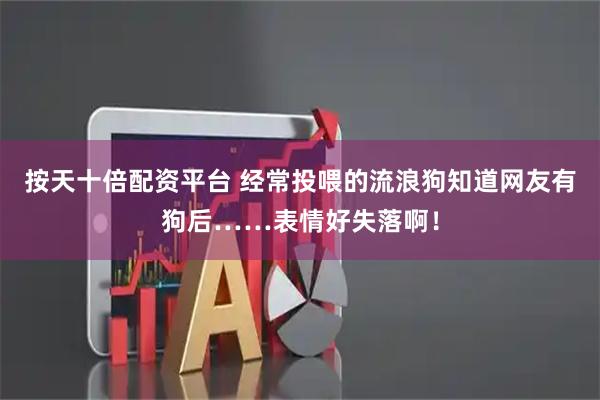 按天十倍配资平台 经常投喂的流浪狗知道网友有狗后……表情好失落啊！